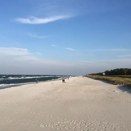 In * Zingst